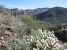 photo thumbnail #9