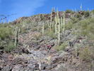 photo thumbnail #10
