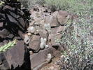 photo thumbnail #13