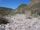 photo thumbnail #15