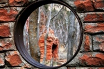 photo thumbnail #1
