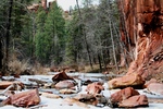 photo thumbnail #7