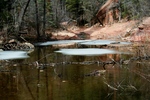 photo thumbnail #11