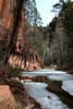 photo thumbnail #14
