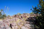photo thumbnail #2