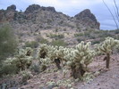 photo thumbnail #3