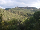 photo thumbnail #7