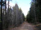 photo thumbnail #4
