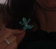 photo thumbnail #4