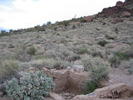 photo thumbnail #4
