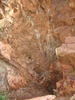 photo thumbnail #12