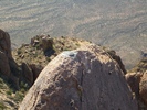 photo thumbnail #8