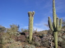 photo thumbnail #1