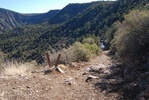 photo thumbnail #4