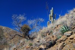 photo thumbnail #4