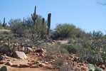 photo thumbnail #1