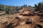 photo thumbnail #2