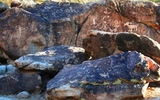 photo thumbnail #2