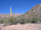 photo thumbnail #6