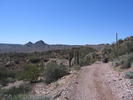photo thumbnail #9