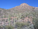 photo thumbnail #12