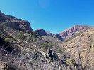 photo thumbnail #10