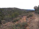 photo thumbnail #14