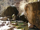 photo thumbnail #1