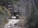 photo thumbnail #15