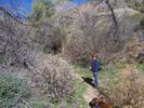 photo thumbnail #4