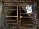 photo thumbnail #5