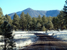 photo thumbnail #2