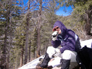 photo thumbnail #8