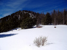 photo thumbnail #10