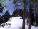 photo thumbnail #13