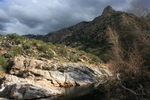 photo thumbnail #3