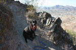 photo thumbnail #5