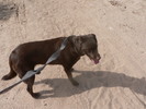 photo thumbnail #1