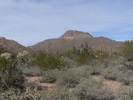photo thumbnail #3