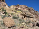 photo thumbnail #3