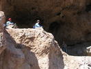 photo thumbnail #15