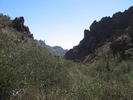photo thumbnail #4