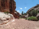 photo thumbnail #12