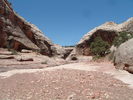 photo thumbnail #13