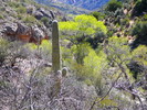 photo thumbnail #1