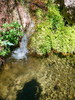 photo thumbnail #14
