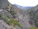 photo thumbnail #11