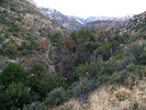photo thumbnail #10
