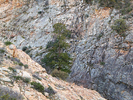 photo thumbnail #11