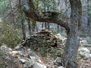 photo thumbnail #14